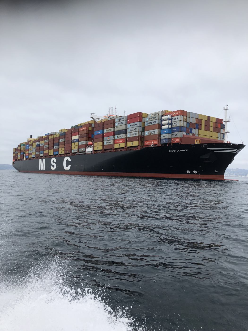 REA Industry Cruise 2021